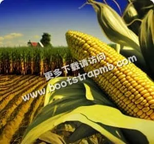 安全投注，零壓力暢玩無阻！ - 宝威体育chenruixin